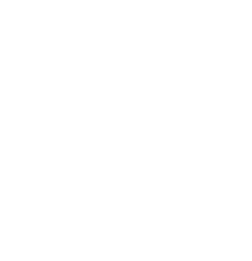 custom merch icon